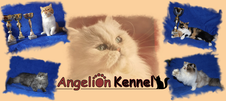 ANGELION KENNEL